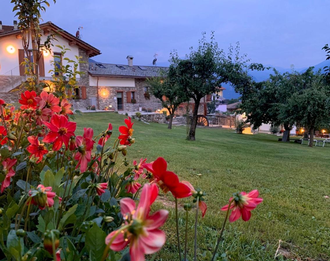 Il Fienile - Lake Como Heritage Home In Molino Maufet Watermill - Lake View Terrace Colico Exterior foto